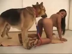 With hefty K9, a thick, open-minded dilettante doxy in dark underwear embraces rough sex.